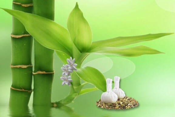 Base puurr zen ritueel - massage, dieptereiniging, stoombad, lotions et cetera